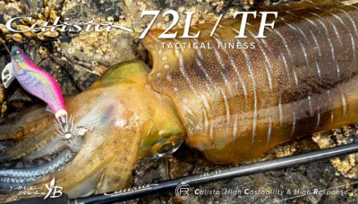 YAMAGA Blanks Calista 72L / TF