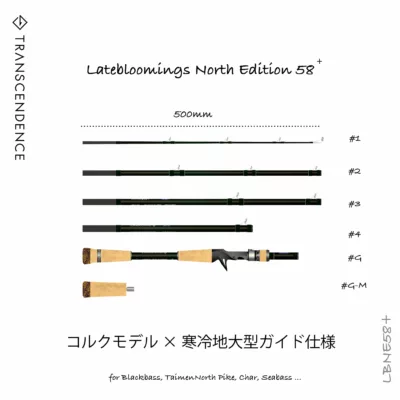 TRANSCENDENCE Latebloomings58+ NorthEdition