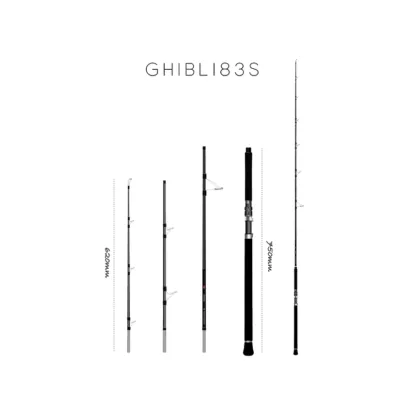 TRANSCENDENCE Ghibli83S