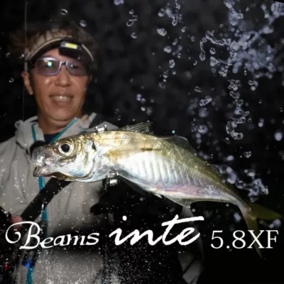 Fishman Beams inte 5.8XF