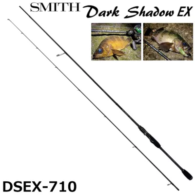 SMITH Dark Shadow EX DSEX-710