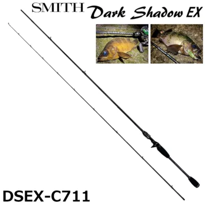 SMITH Dark Shadow EX DSEX-C711